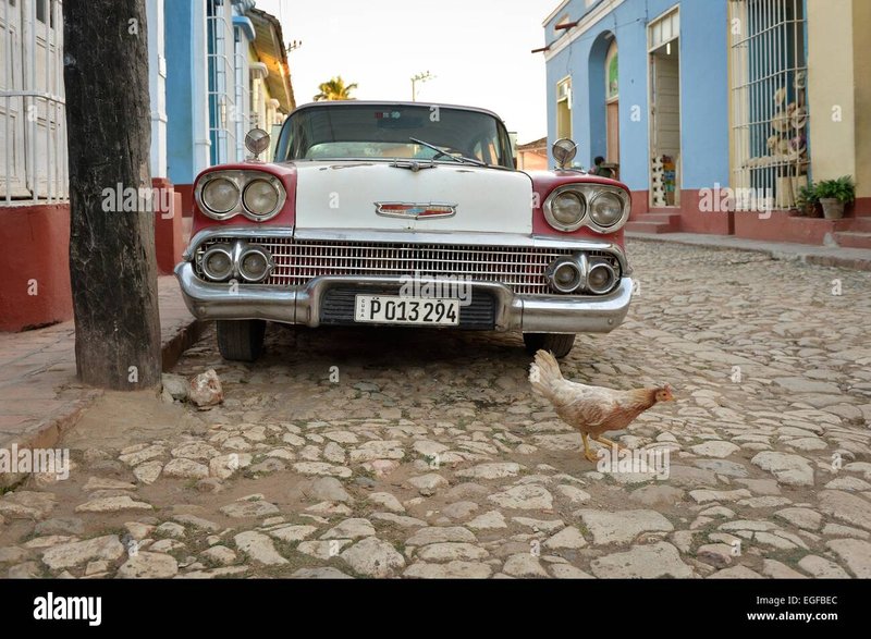 Introduction to chicken road oficial